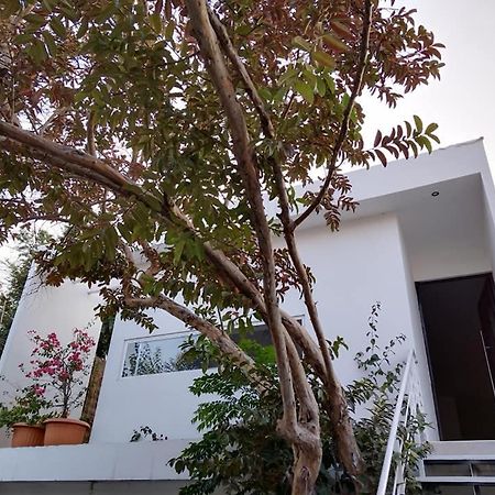 فيلا Casa Mango 3 Amplio Departamento Río Verde المظهر الخارجي الصورة