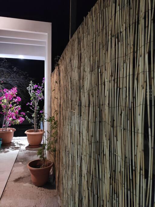 فيلا Casa Mango 3 Amplio Departamento Río Verde المظهر الخارجي الصورة