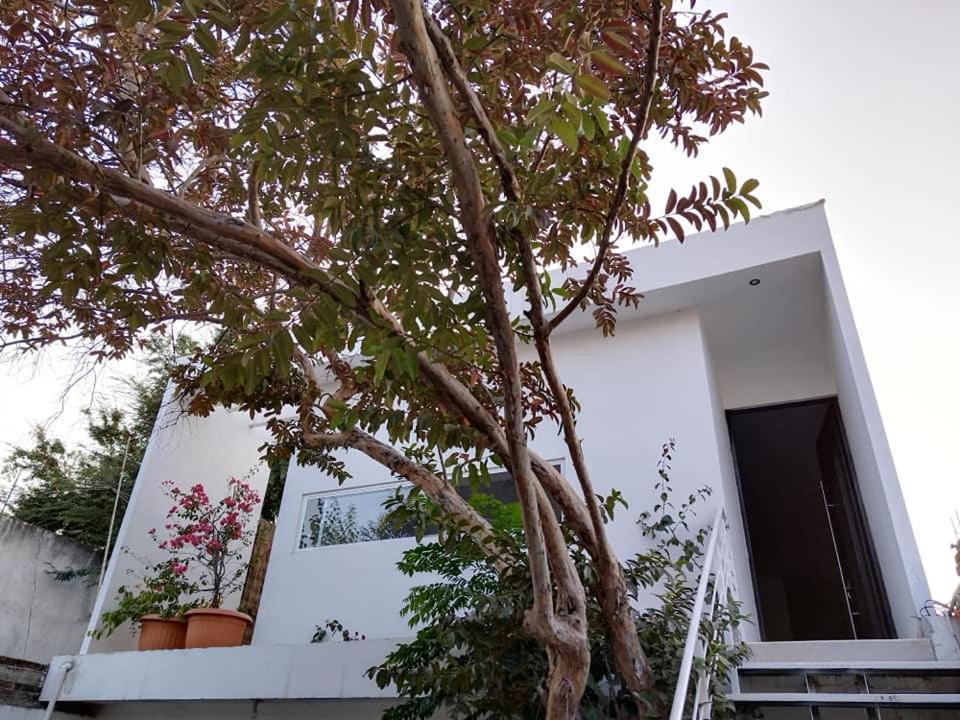 فيلا Casa Mango 3 Amplio Departamento Río Verde المظهر الخارجي الصورة